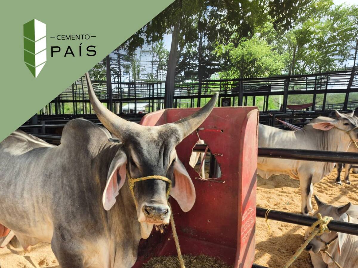 Cemento País, patrocinador oficial de la segunda ExpoBolívar en Arjona