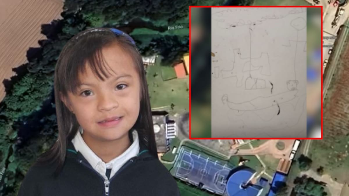 Dibujo de Valeria Afanador: padres aseguran que la pintura revelada no es del trazo de la menor