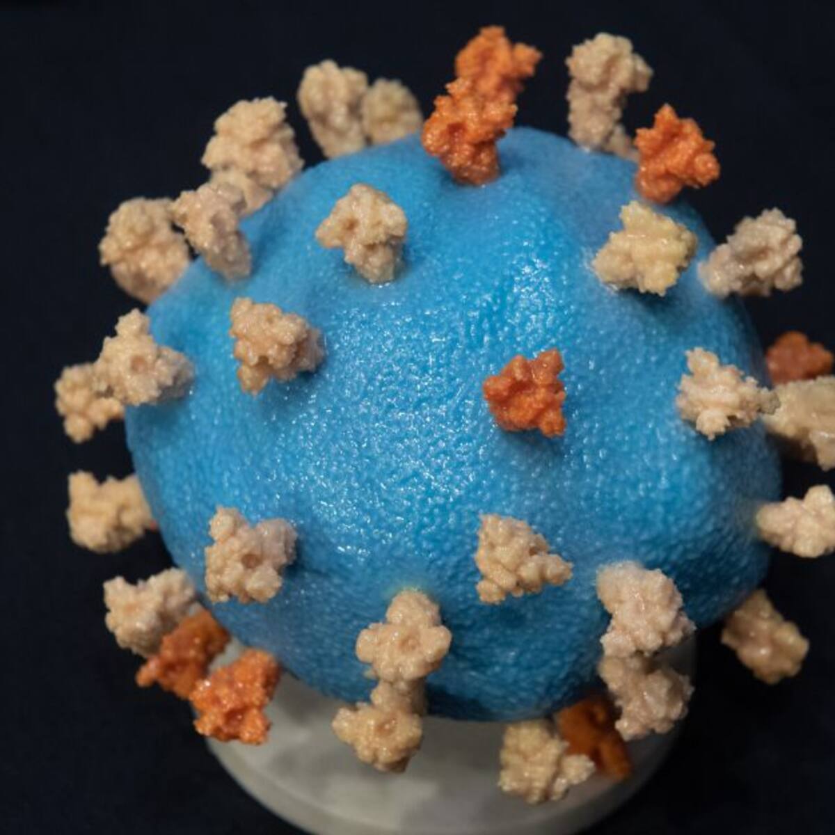 El coronavirus daña el sistema endocrino, según un estudio
