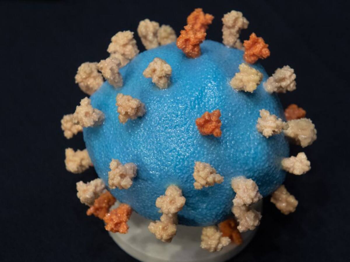 El coronavirus daña el sistema endocrino, según un estudio