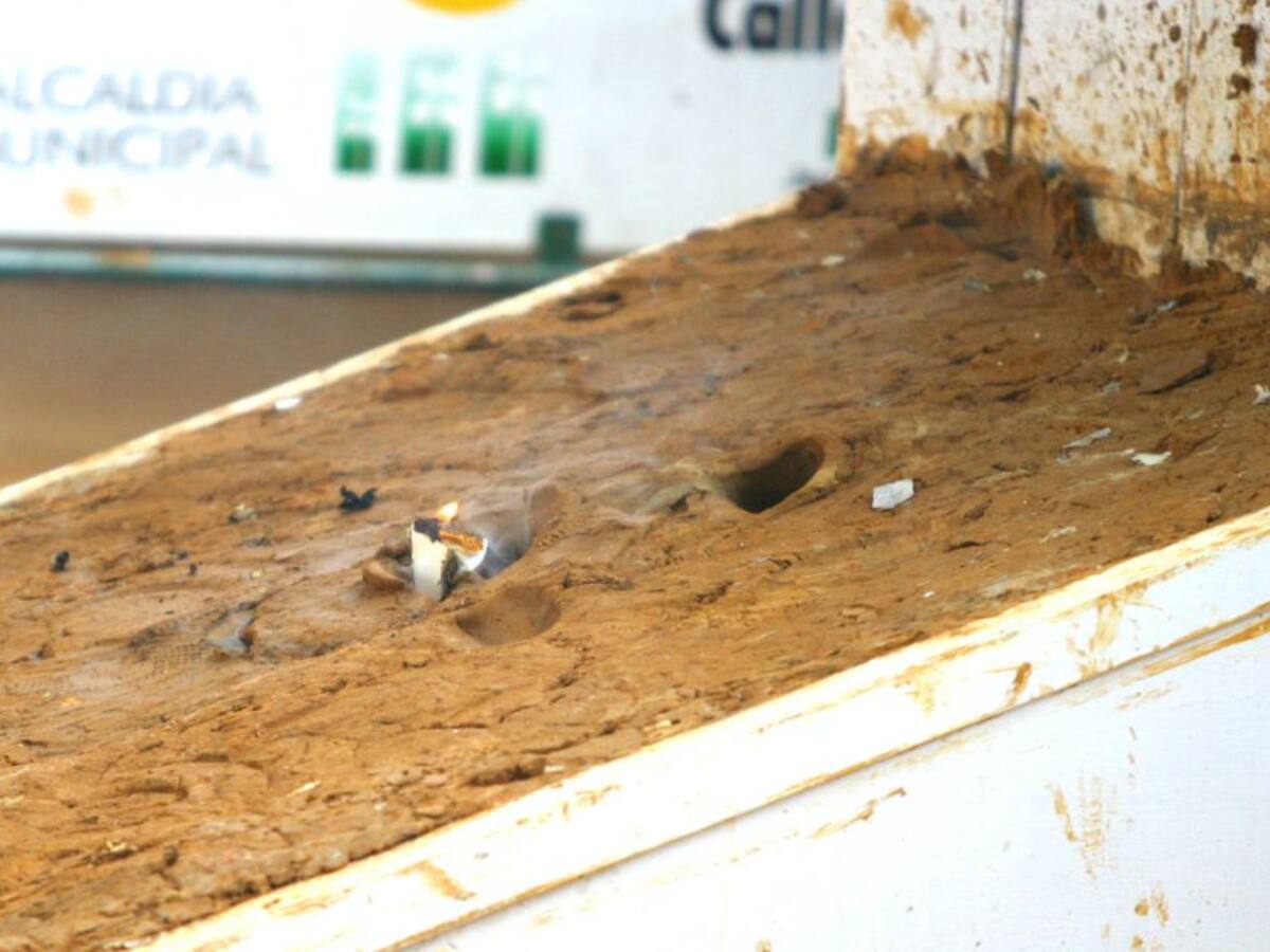 Campo de tejo funcionaba oculto en medio de la cuarentena