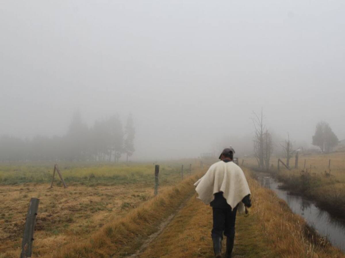 MinAgricultura en alerta por temporada de heladas