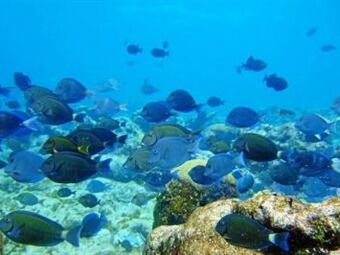 Foto: Vanguardia.com