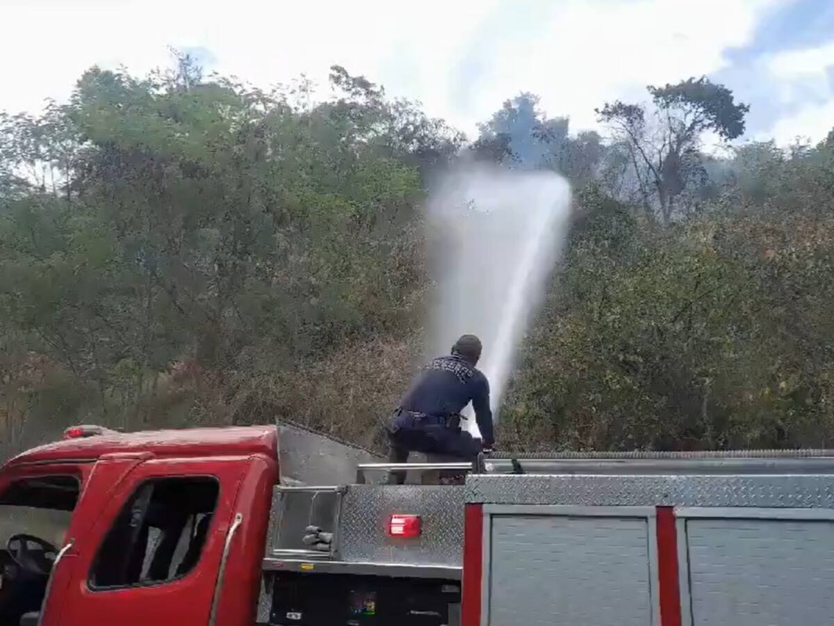 Controlan incendio forestal en Cristal Bajo