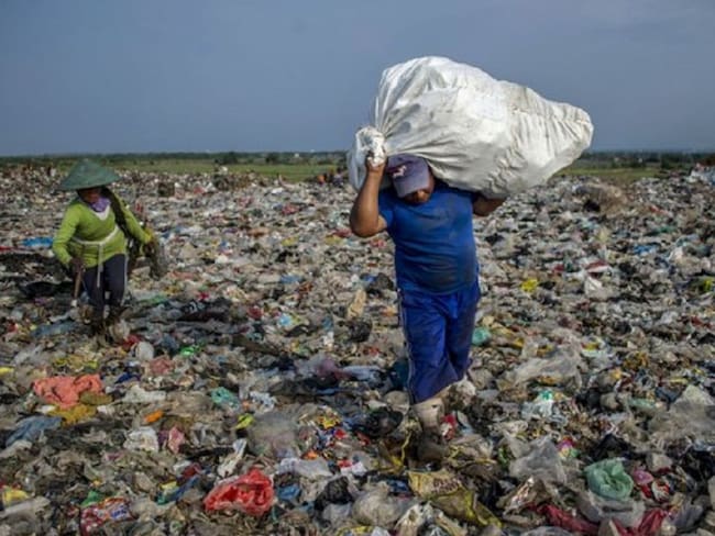 Pérdidas millonarias por proyecto que prohíbe el plástico: Fedeplast