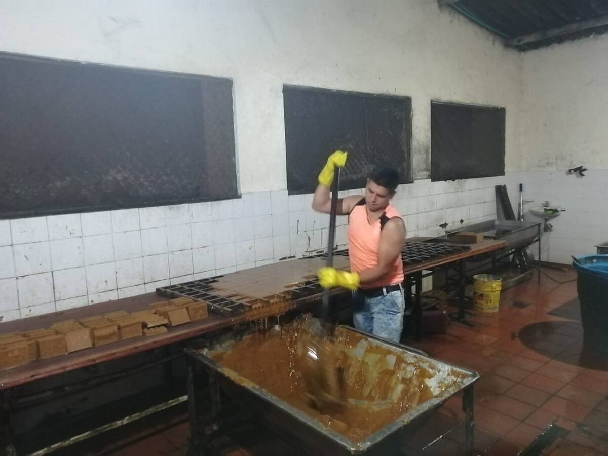 Ni dándoles cuatro comidas, salario justo encuentran trabajadores para trapiches paneleros