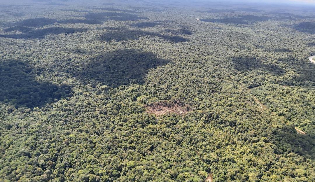 FF.MM. dicen que operación contra 'Fabián' fue legítima