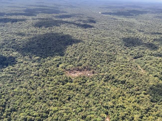 FF.MM. dicen que operación contra 'Fabián' fue legítima