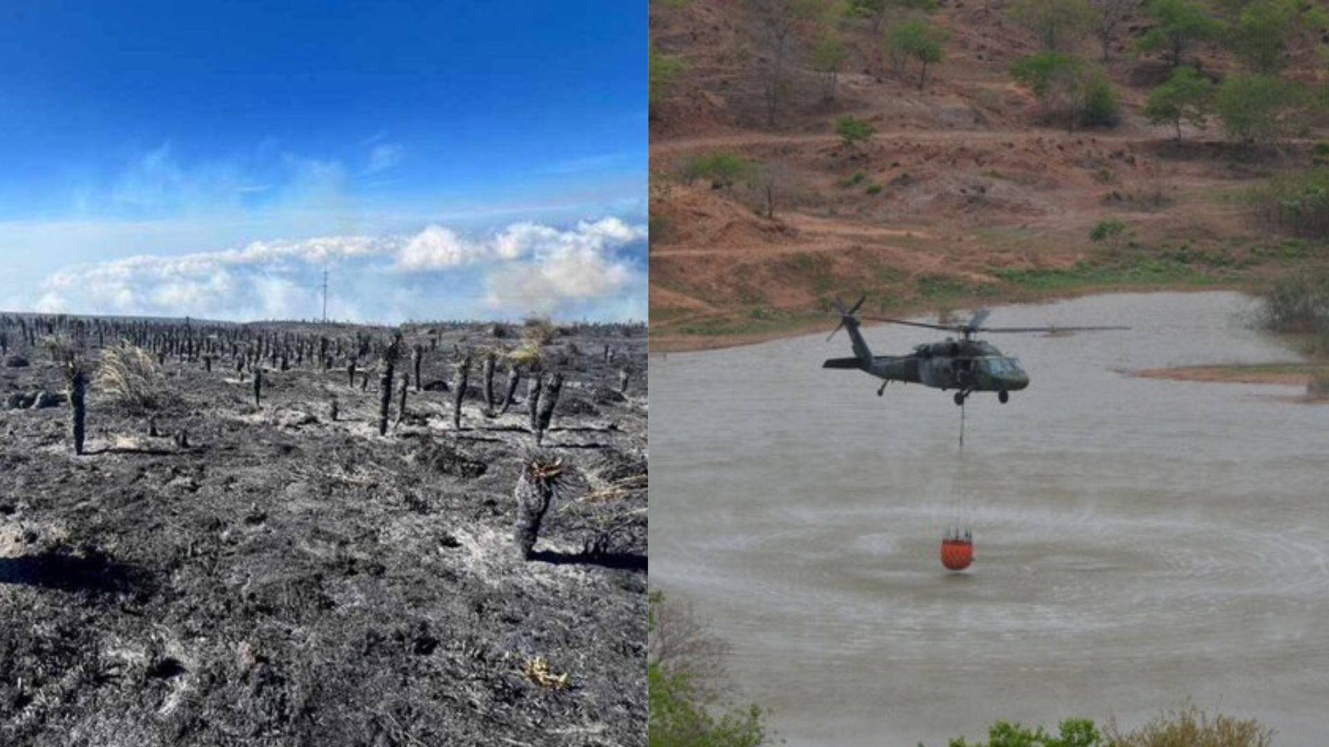 Continúa el incendio forestal en el páramo de Santurbán / Colprensa