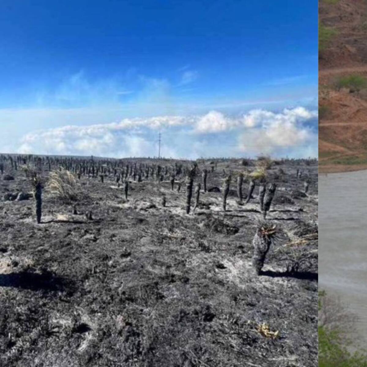 Gobierno declarará situación de desastre natural por un año para atender emergencias