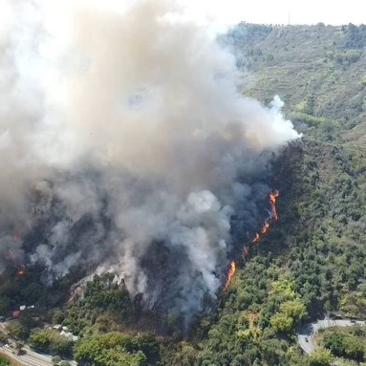Desplazan helicóptero del gobierno nacional para controlar incendio en Piedecuesta