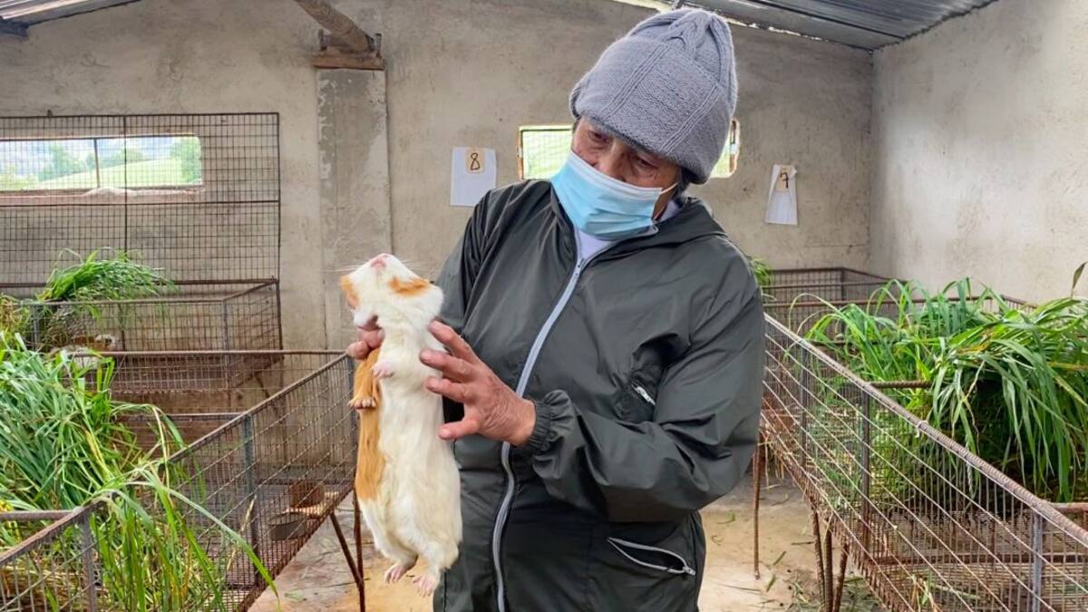 Trabajar el campo es duro, pero es la mayor riqueza: campesinos en su día