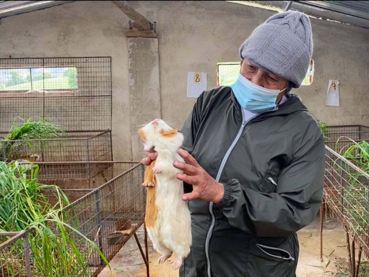 Trabajar el campo es duro, pero es la mayor riqueza: campesinos en su día