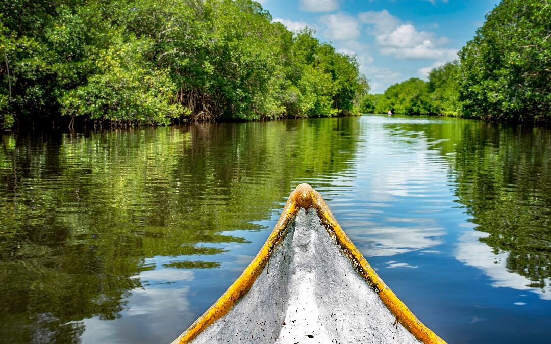 Vichada, alojando biodiversidad y especies sorprendentes