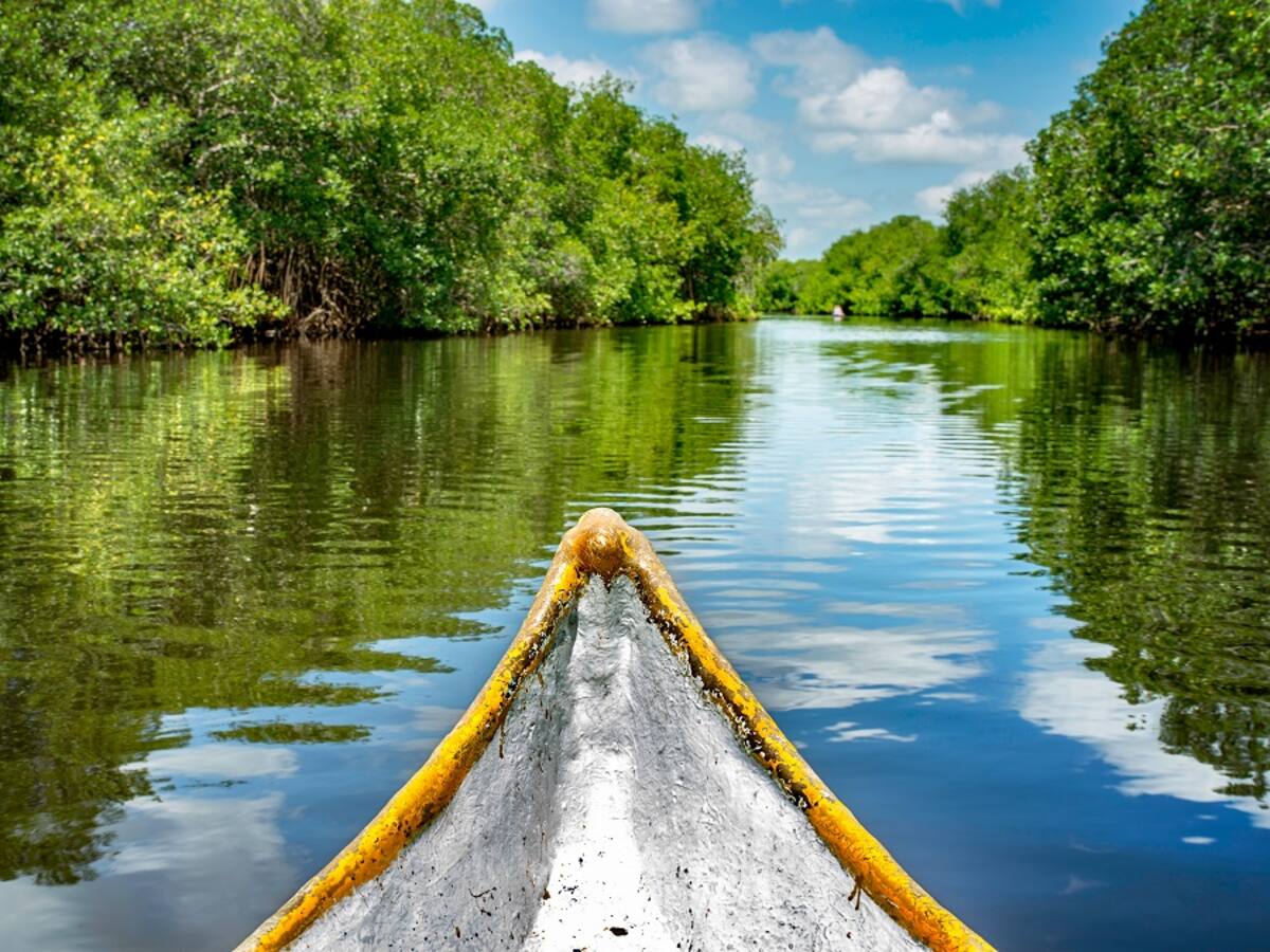 Colombia debe reconocer el valor de su biodiversidad