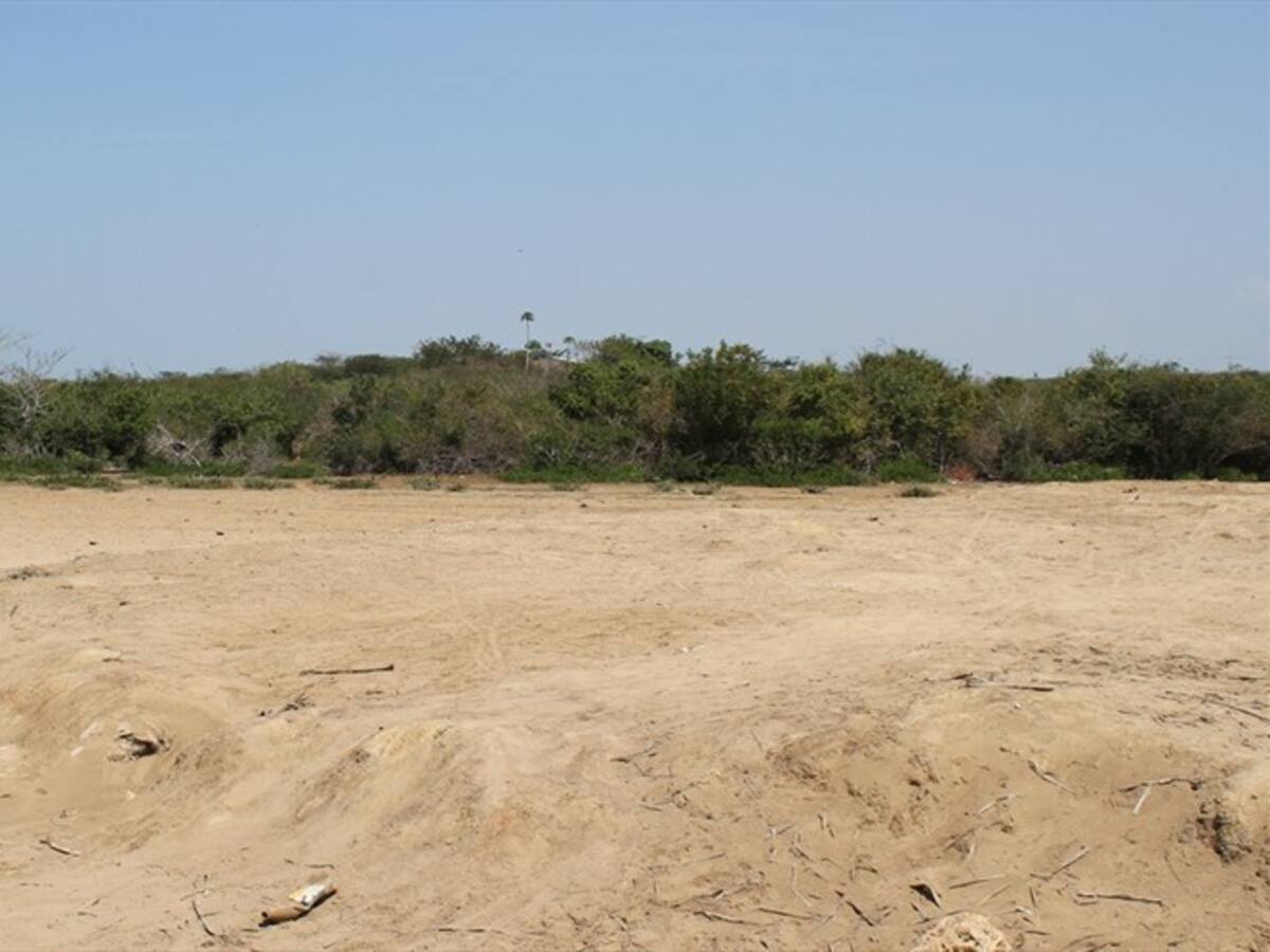 "Si Barú pierde sus playas, pierde su turismo"