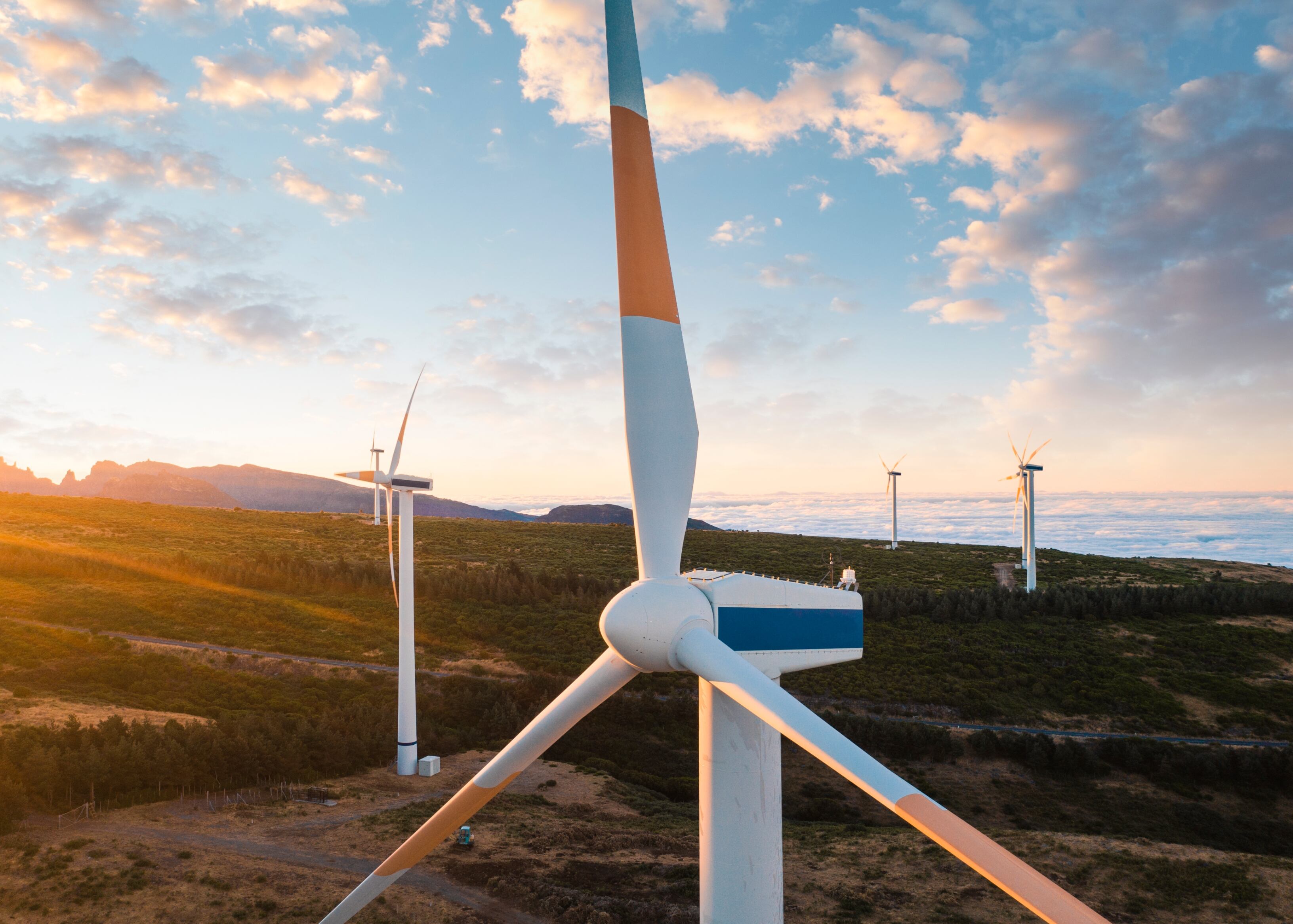Energía eólica | Foto: GettyImages