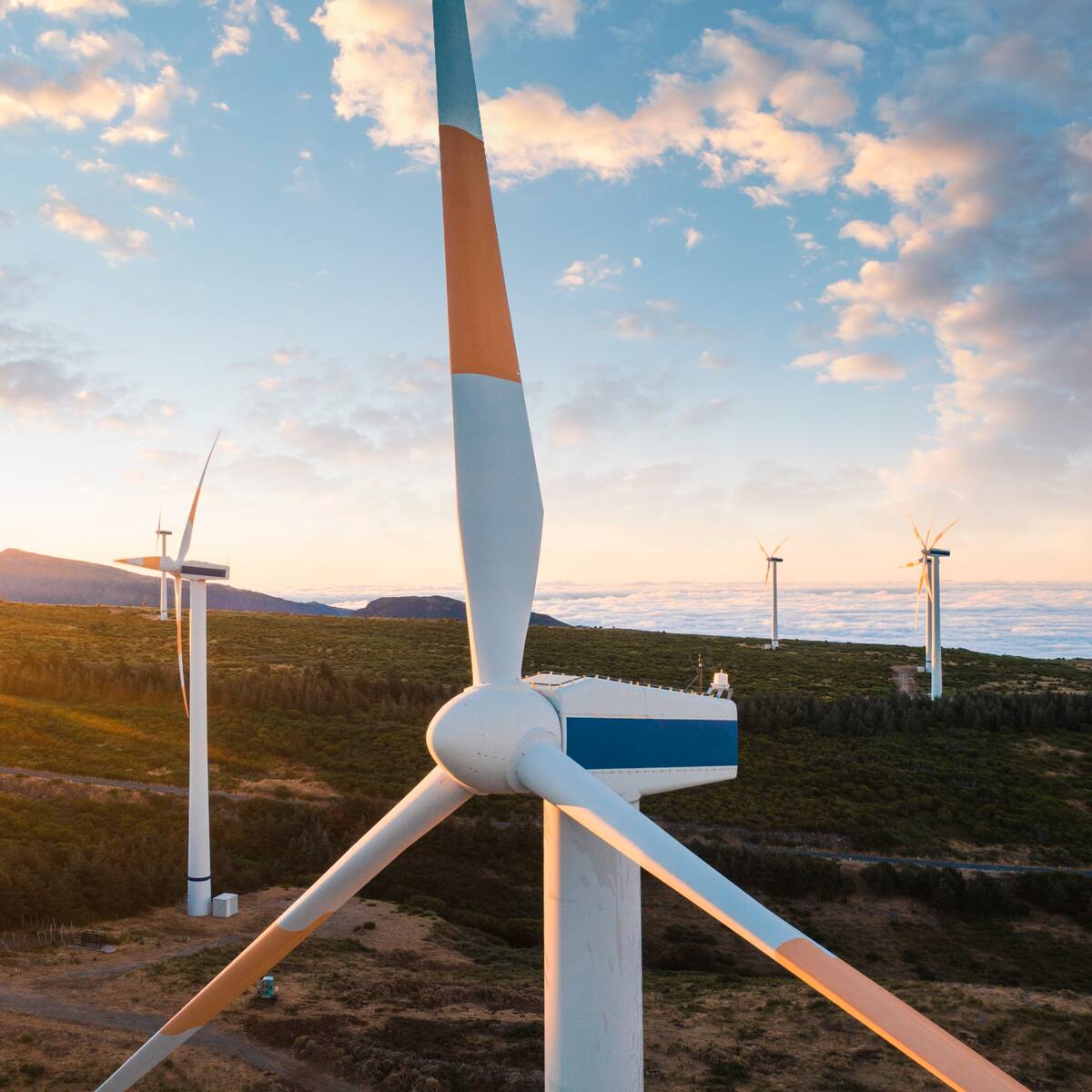 Avanza el proyecto del parque de energía eólica costa afuera en Barranquilla