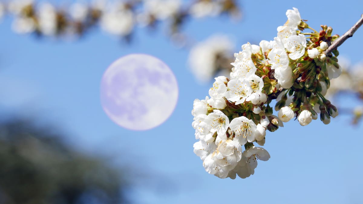 Habrá dos lunas llenas en mayo 2026: Conozca su significado y consejos para verlas