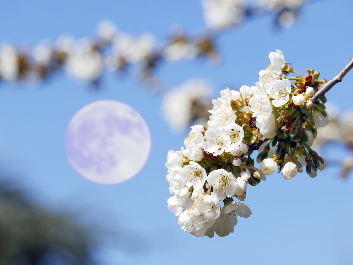 Habrá dos lunas llenas en mayo 2026: Conozca su significado y consejos para verlas