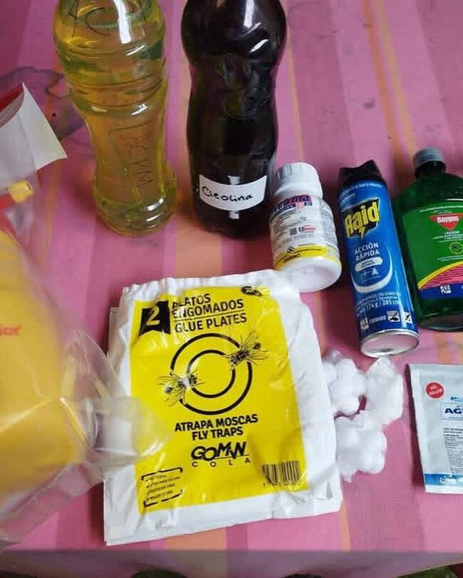 Los residentes se han armado de productos químicos para combatir la situación, pero ha sido infructuoso