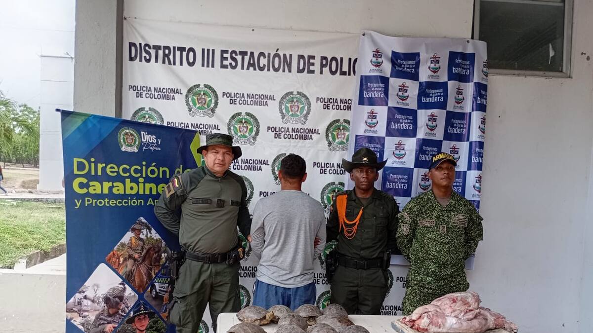 Nueva incautación de carne ilegal en Bolívar