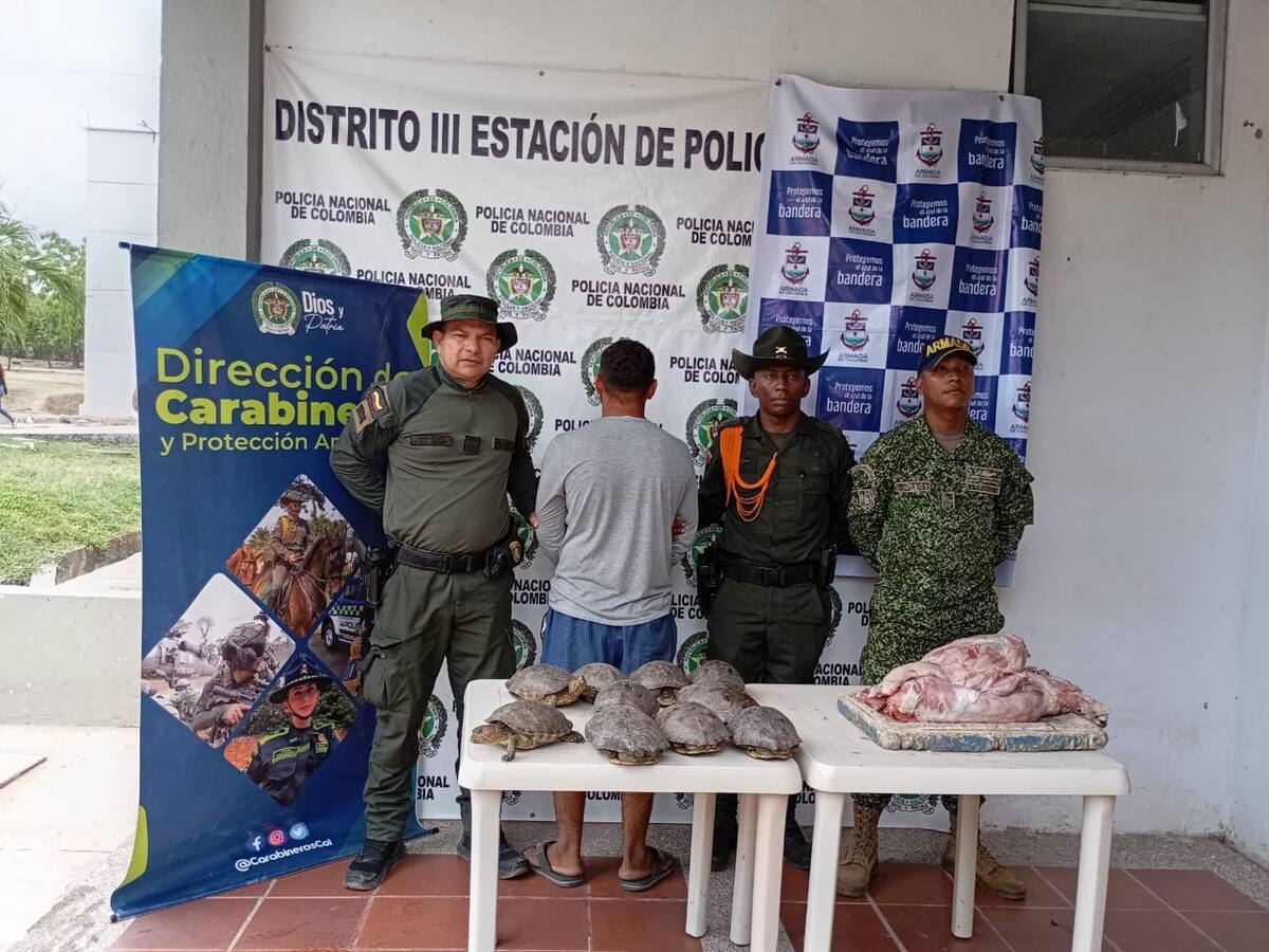 Nueva incautación de carne ilegal en Bolívar