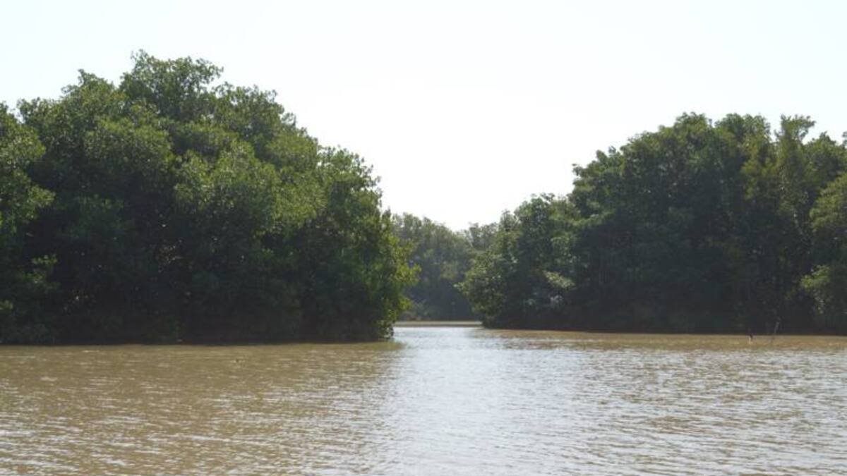 Con estudio hidrosedimentológico buscan avanzar en la rehabilitación de la Ciénaga Grande de Santa Marta