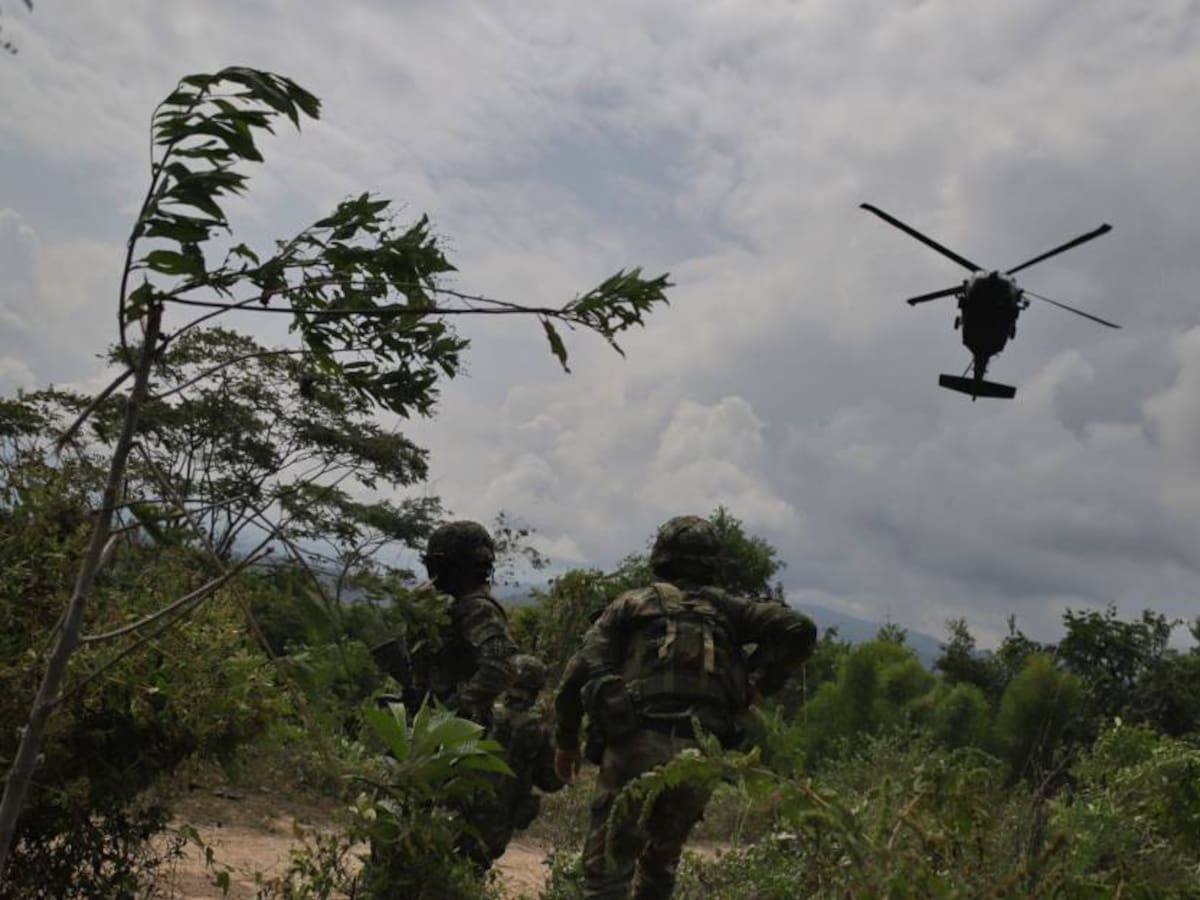 Procuraduría pide informe a Fuerzas Militares por operación en Putumayo
