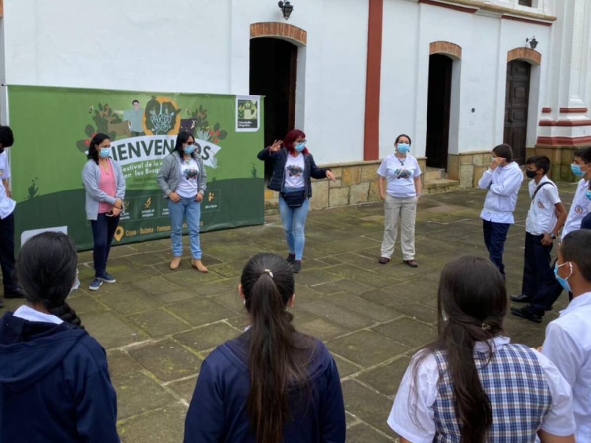 ¿Cómo pueden los campesinos trabajar en la recuperación de los bosques?