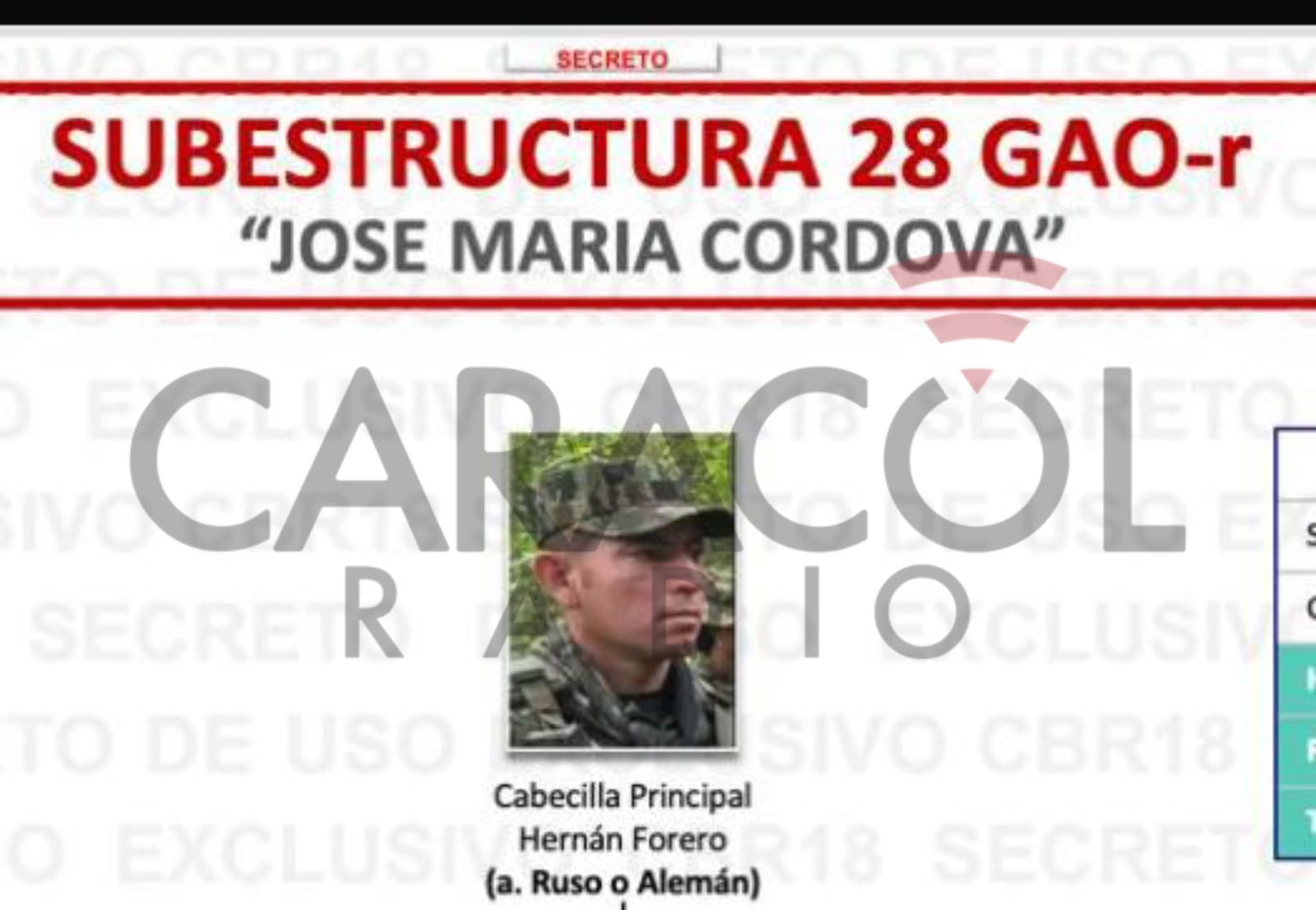 Alias ‘El Ruso’, cabecilla del frente 28 de las disidencias de las Farc de la facción de ‘Iván Mordisco’, murió en operación de las FF.MM. Foto: Cortesía.