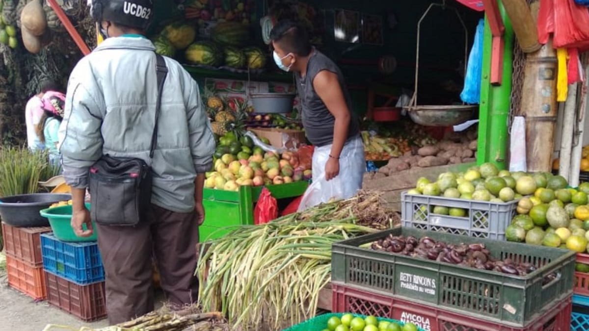Comerciante Mercar, central mayorista de Armenia