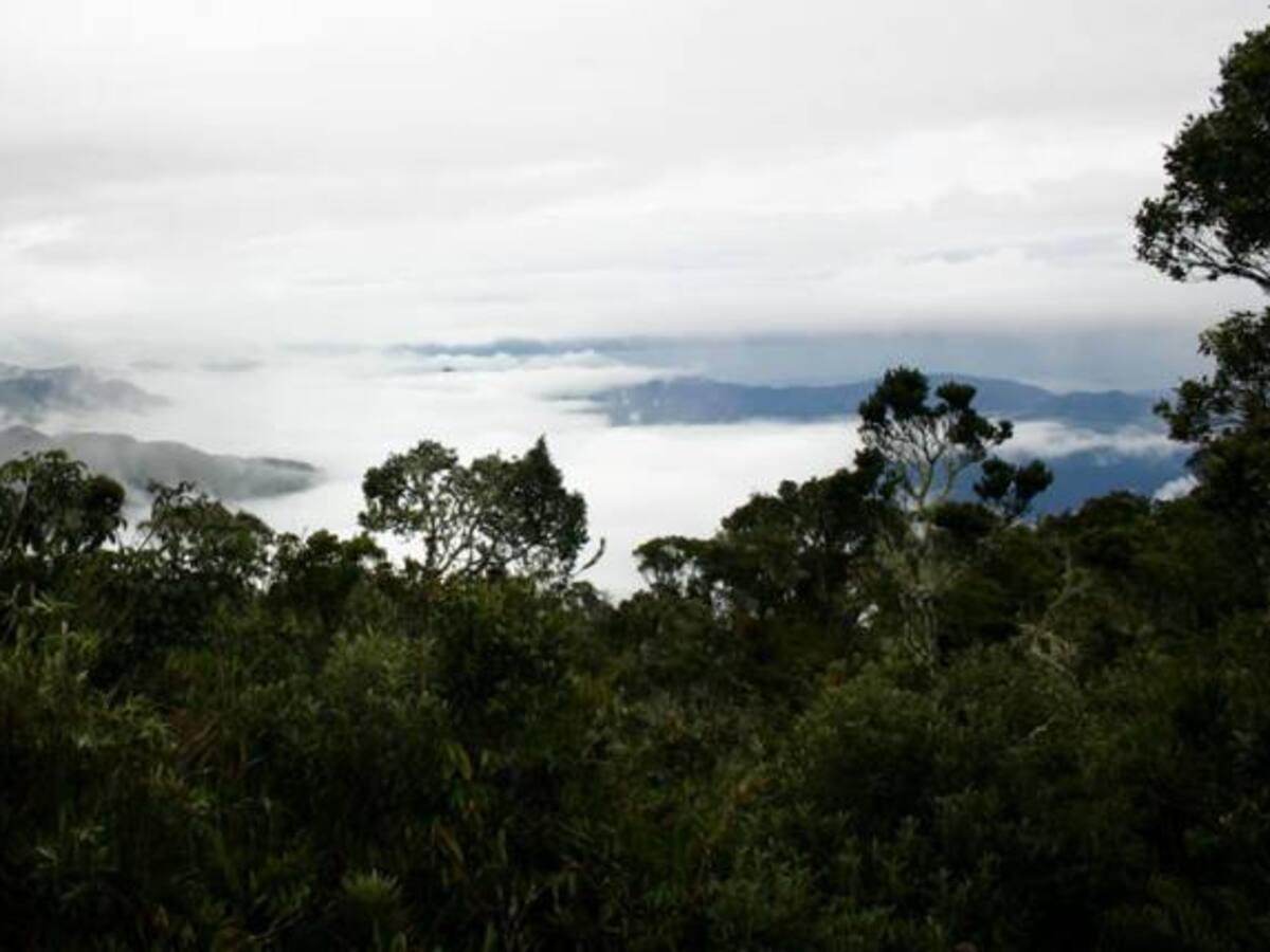 Campesinos impiden labor de Parques Nacionales en los Farallones