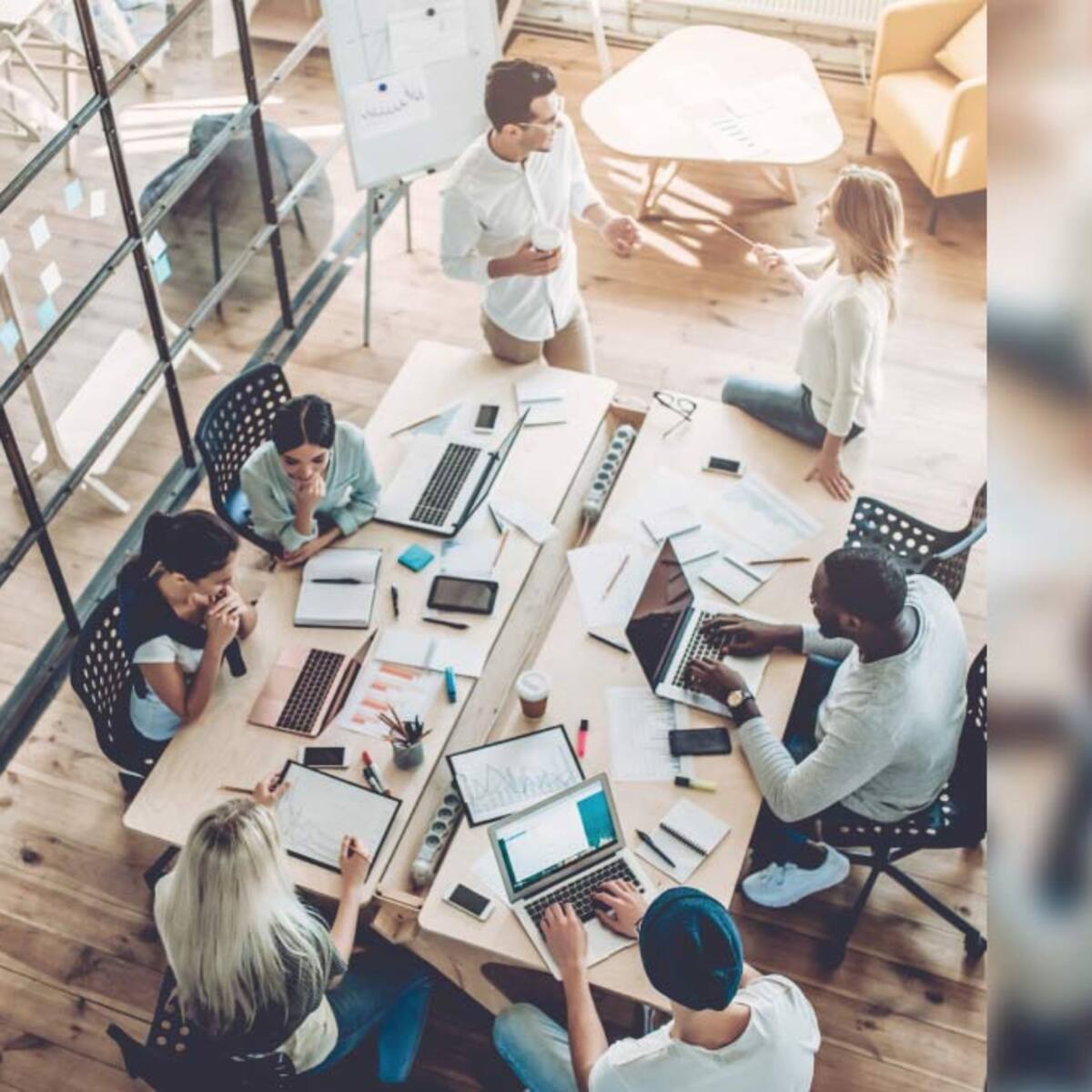 ¿Qué pasó con las startups?