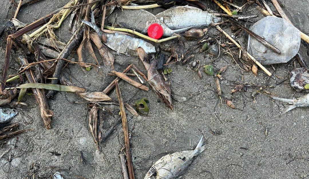 Cardique realizó labores de inspección y tomó muestras del agua en esta vereda de Arroyo Grande