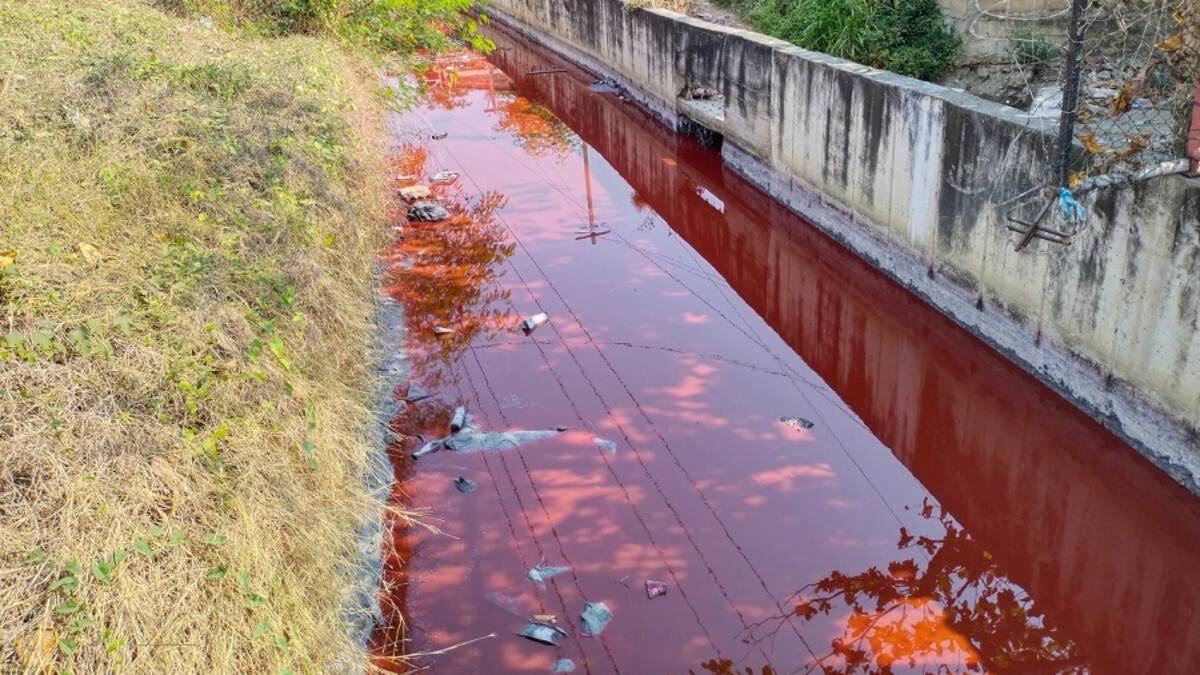 Contecar contrató especialistas para manejo de mancha roja en canal de Santa Clara
