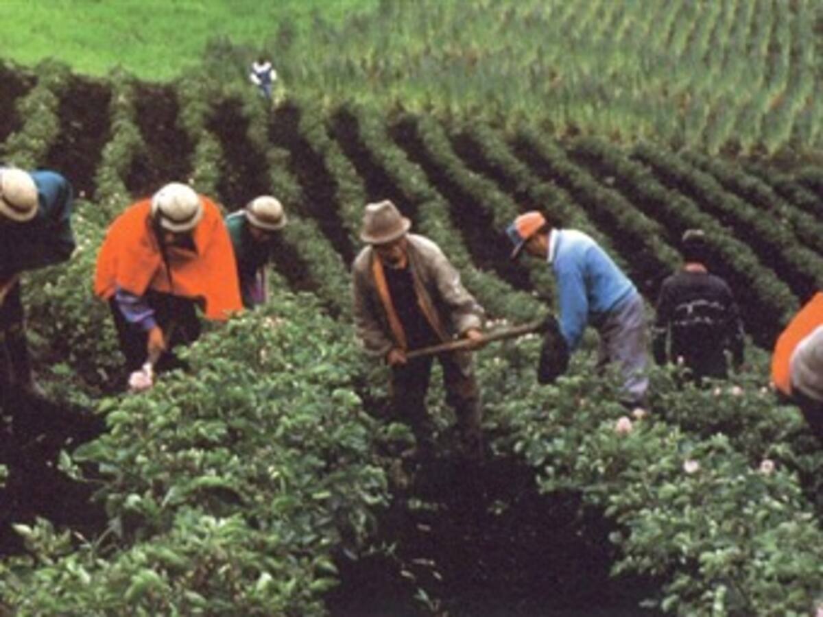 SAC advierte sobre posible estancamiento económico y baja inflación