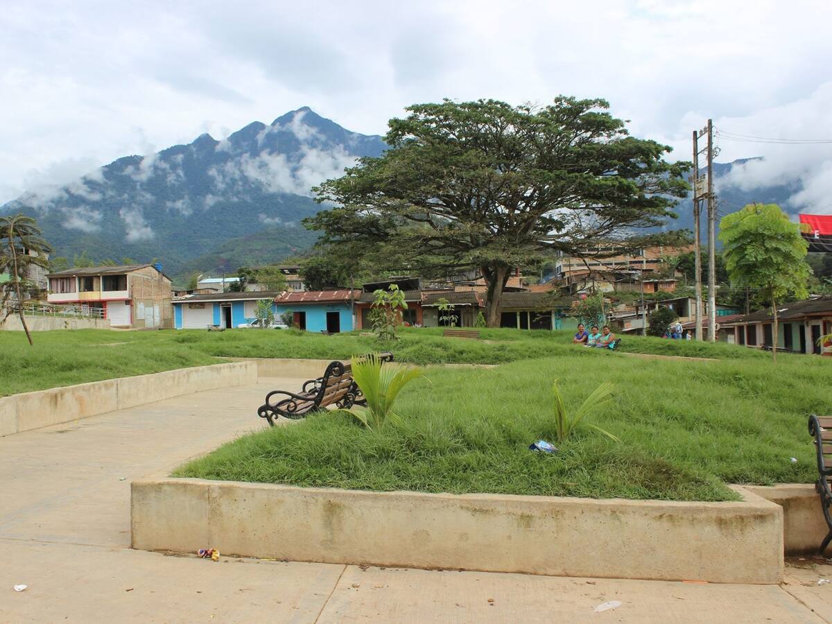 Crisis humanitaria en El Plateado, Cauca