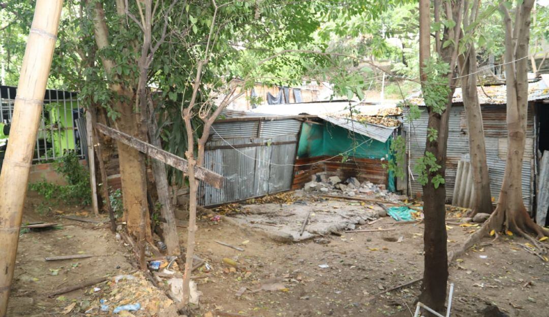 La mayoría de estos están ubicados en lotes de particulares o de reservas ambientales.