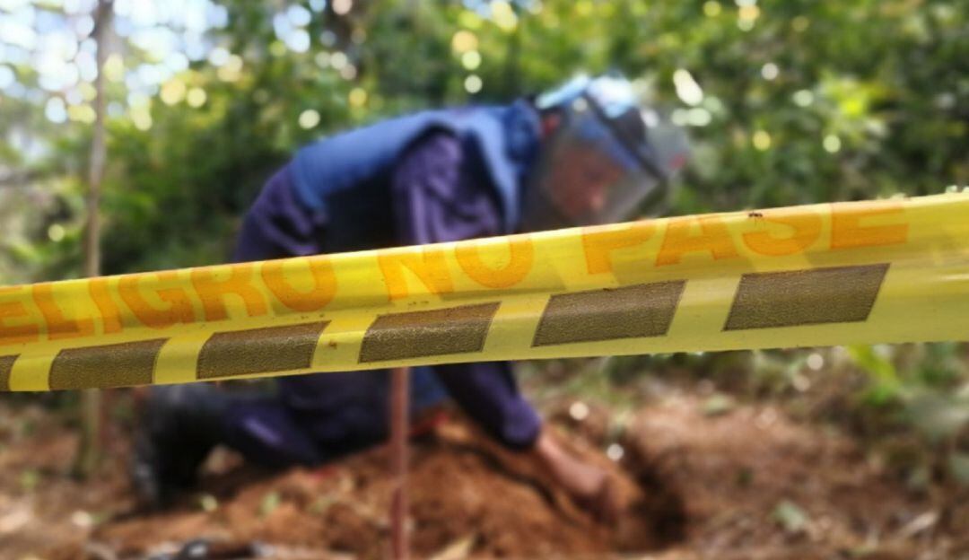 El número de víctimas registradas en el primer trimestre de este año incrementó en un 40% respecto al mismo periodo de tiempo de 2021.