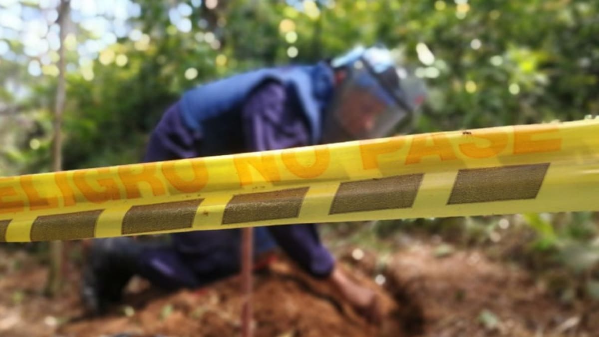 En el Valle 15 víctimas por Minas Antipersonal en primer semestre 2022