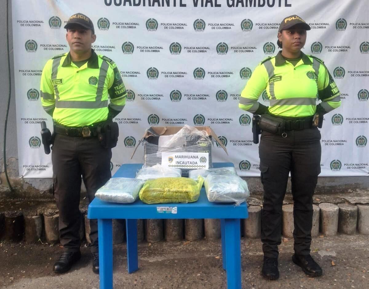 Un operativo de la Policía de Tránsito y Transporte permitió sacar de circulación un alijo de droga que era transportado en plena vía hacia Cartagena