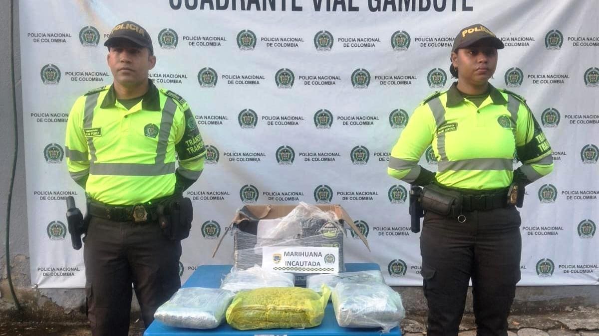 Hallan casi 6.000 dosis de marihuana en vehículo de carga en Marialabaja
