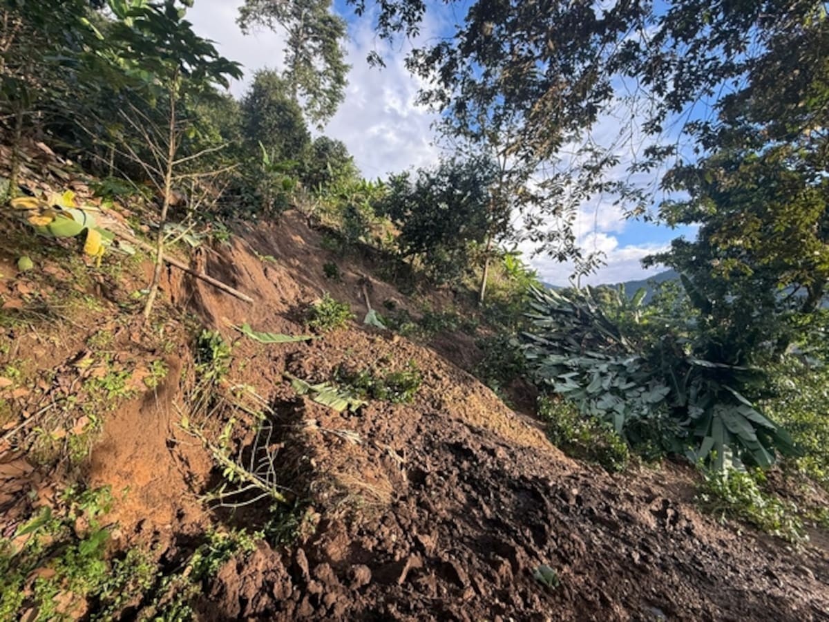 En el Quindío se han registrado 28 emergencias en lo que va del mes de octubre