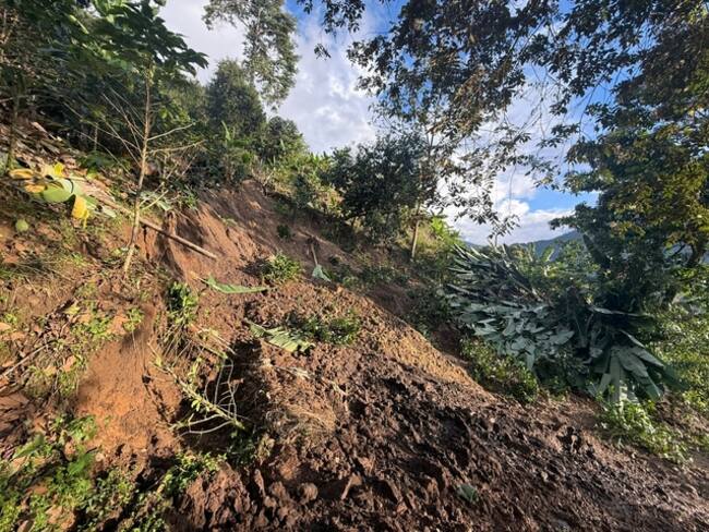 Director Udegerd, Jaider Hidalgo