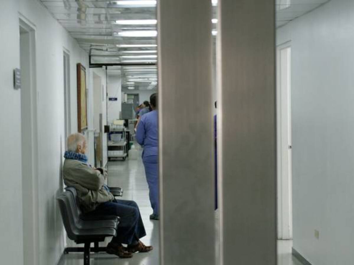 “Quienes aplicaron agroquímicos no tuvieron medidas de precaución”