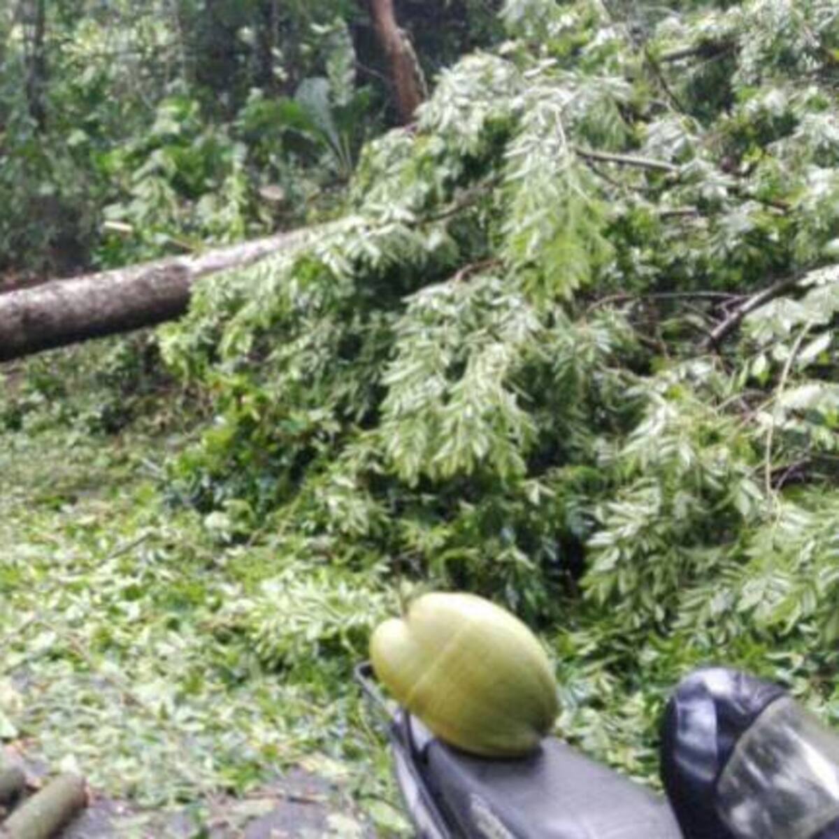 Cierre en la vía al Parque Tayrona por fuerte vendaval