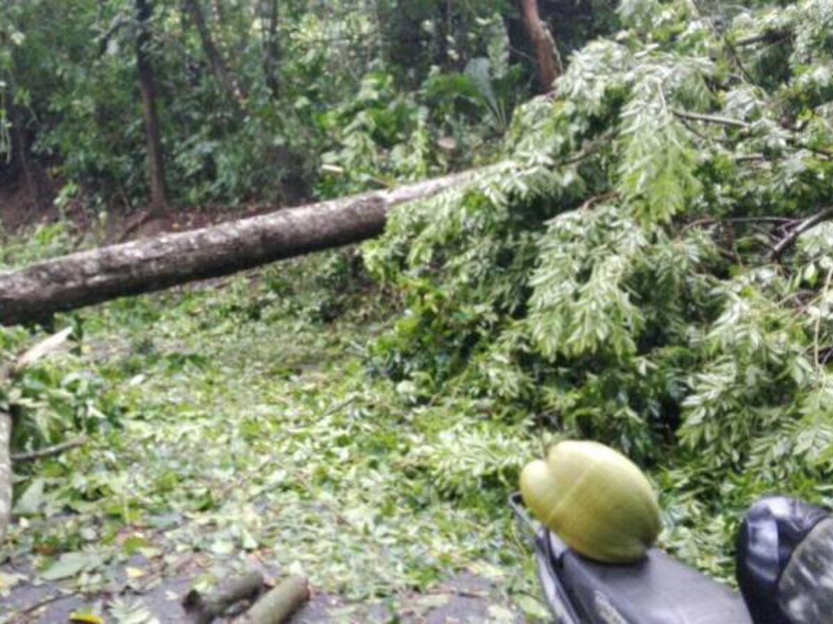 Cierre en la vía al Parque Tayrona por fuerte vendaval