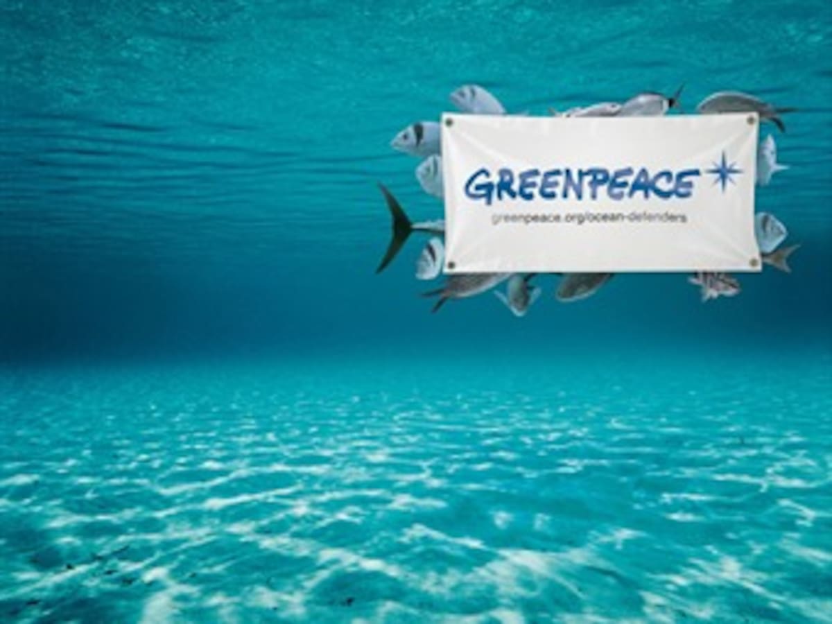 Greenpeace no organizará protestas en Cumbre sobre Cambio Climático de Doha