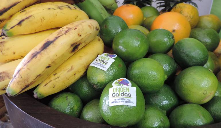 Aumentan las exportaciones de Caldas